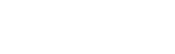 bentwolff_logo_web